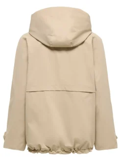 Only takki Onlorchid