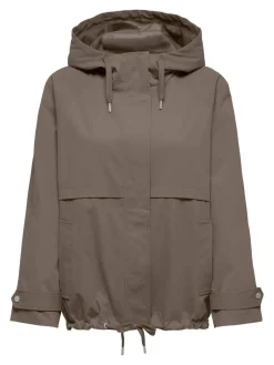 Only takki Onlorchid