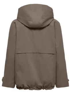 Only takki Onlorchid