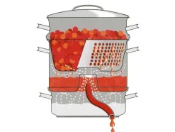 Opa Mehustin Mehu-Liisa