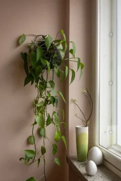 Pentik muna Studio 8 cm valkoinen