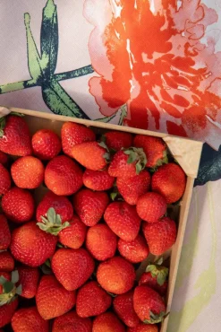 Pentik pöytäliina Huvila 145x250 cm v.oranssi