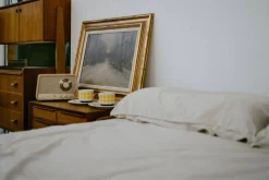 Sangean radio WR-101 Bluetooth vaalea tammi