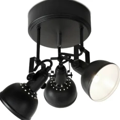 Sessak kattospotti Teodor 3-os hiekanmusta