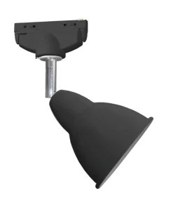 Sessak kiskospottivalaisin Felix I musta