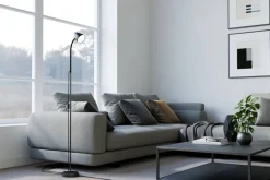 Sessak lattiavalaisin Juniper musta