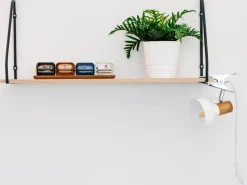 Sessak nipistinvalaisin Isa valkoinen