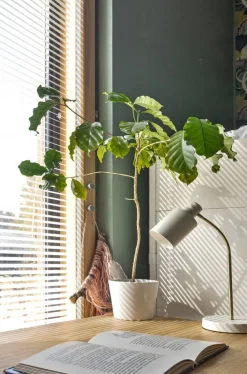 Sessak pöytävalaisin Darcel mattavalkoinen