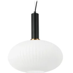 Sessak riippuvalaisin Remi Musta