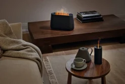 Stadler Form ilmankostutin liekkiefektillä Ben musta