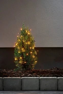 Star Trading valosarja Golden Warm White 40 LED musta 2,8m