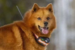 Tracker koiratutka Artemis Easy