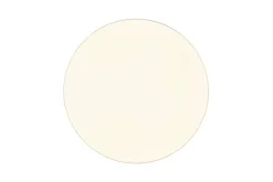 Trio Lighting LED kattovalaisin Blanca 53 cm valkoinen