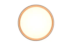 Trio Lighting LED kattovalaisin Felis 40 cm musta/kulta