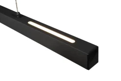 Trio Lighting LED riippuvalaisin Paros mattamusta