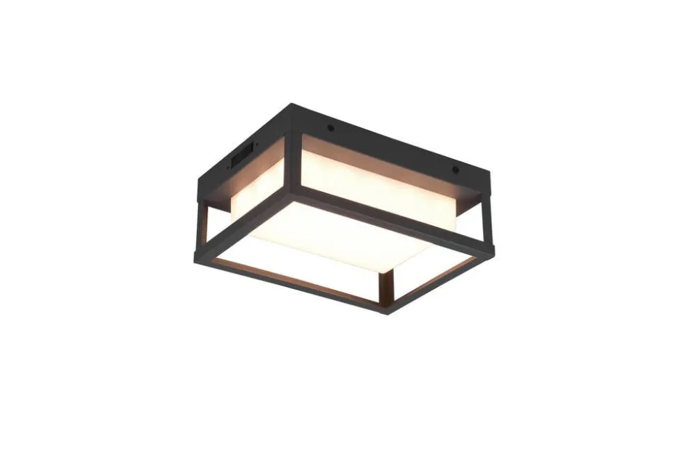 Trio Lighting LED seinävalaisin Witham antrasiitti