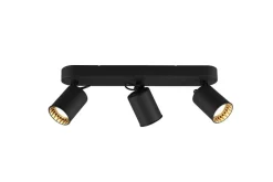 Trio Lighting spottivalaisin Pago 3-os GU10 mattamusta