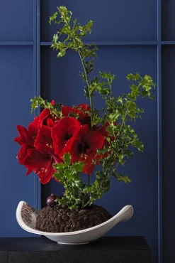 Villeroy&Boch Amazonia Kulho 47x38cm