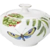 Villeroy&Boch Amazonia Sokerikko 0,35l