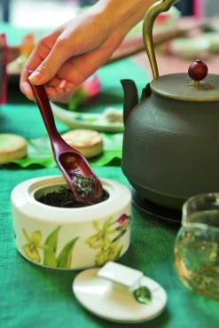 Villeroy&Boch Amazonia Sokerikko 0,33l