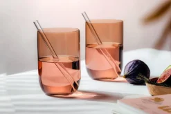 Villeroy&Boch Like Juomalasisetti 8x12 cm 0,39l Clay 2-os.