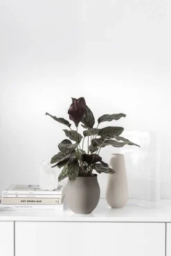 Villeroy&Boch Manufacture Collier vaasi 16,5x16,5x18 cm 2,64 L taupe perle