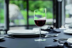 Villeroy&Boch NewMoon Crystal punaviinilasisetti 0,405 l 4-os.