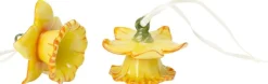 Villeroy&Boch pääsiäiskoriste narsissit 2-os. 4 cm