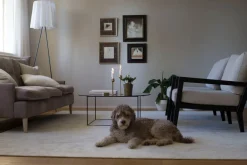 VM-Carpet Hattara 30 valkoinen,  160*230 cm