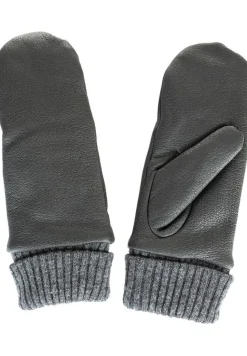 Whistler lapanen Chictini