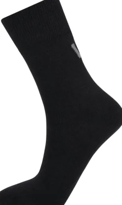 Whistler sukka Zappa