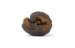 Xero Shoes paljasjalkakengät Tari TAW-TOF