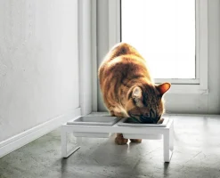 Yamazaki lemmikinruokakupit 2-os. valkoinen