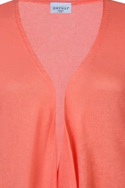 Zhenzi neuletakki Agar170