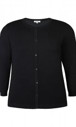 Zhenzi neuletakki Kogle