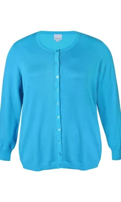 Zhenzi neuletakki Kogle